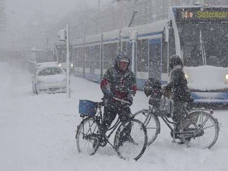 �����: ���-��