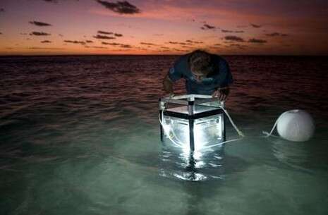 צילום: באדיבות האקדמיה למדעים של ישראל צילום: באדיבות האקדמיה למדעים של ישראל