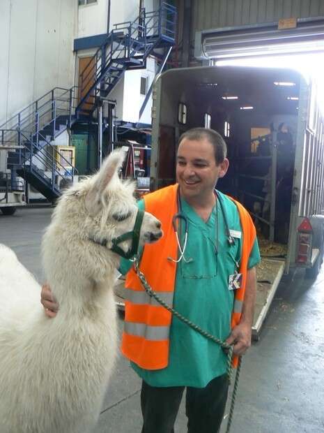 �����: ��''�