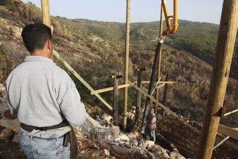 צילום: אלכס רוזוקובסקי צילום: אלכס רוזוקובסקי
