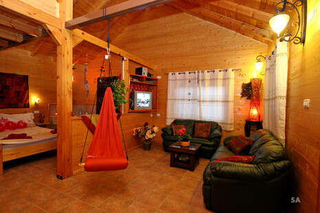 סשה אלכוב סשה אלכוב