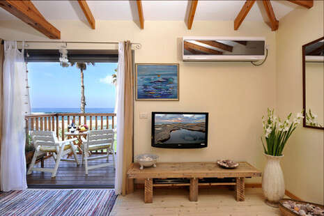 רועי חן רועי חן