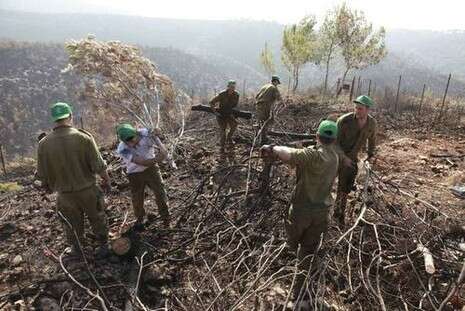 צילום ארכיון: מקס ילינסון צילום ארכיון: מקס ילינסון