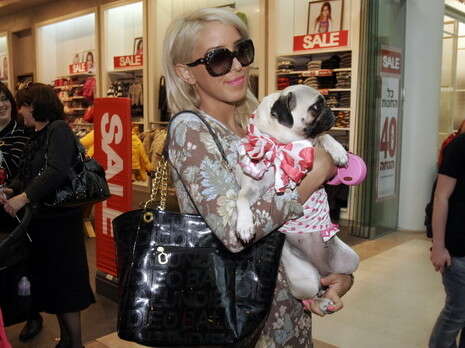 �����: �����