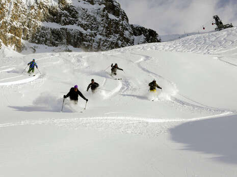 Adamello ski