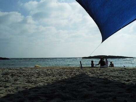 טלי קורין טלי קורין