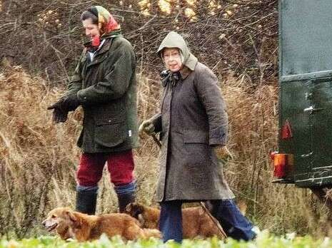 צילום: REX צילום: REX