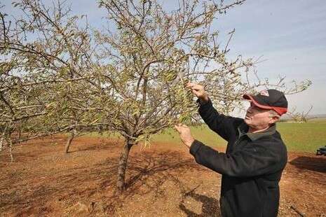 צילום: יגאל לוי צילום: יגאל לוי
