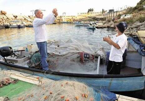 צילום: יגאל לוי צילום: יגאל לוי