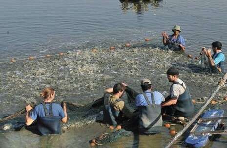 צילום: יגאל לוי צילום: יגאל לוי