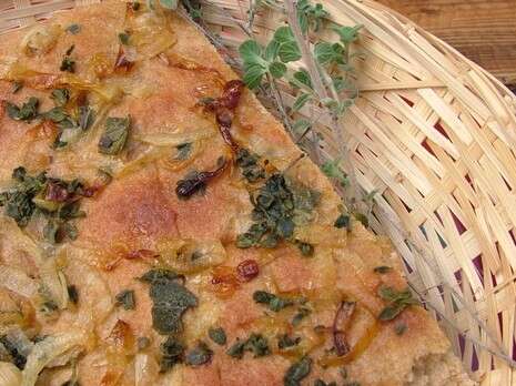 שחר שילוח שחר שילוח