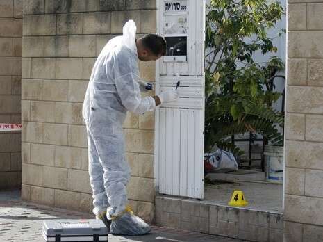 צילום: פאבל טולצ'ינסקי צילום: פאבל טולצ'ינסקי