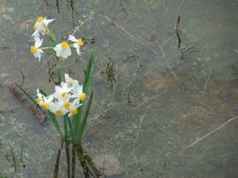 ���� ����