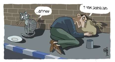 איור: מושיק לין איור: מושיק לין