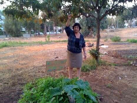 צילום: ורד מזרחי צילום: ורד מזרחי