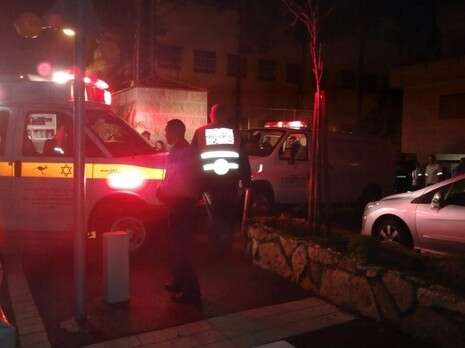 צילום: מקס ילינסון צילום: מקס ילינסון