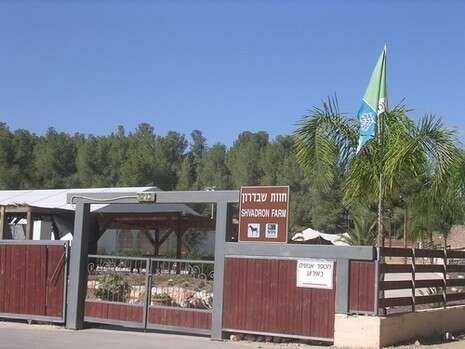 צילום באדיבות החברה להגנת הטבע צילום באדיבות החברה להגנת הטבע