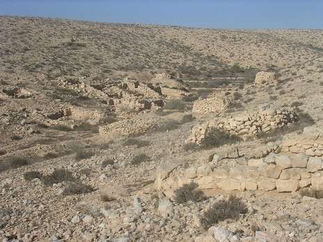 צילום באדיבות החברה להגנת הטבע צילום באדיבות החברה להגנת הטבע