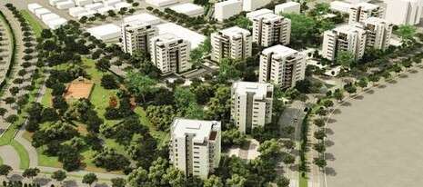 צילום: אורי מדמון  צילום: אורי מדמון