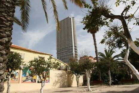 צילום: פלאש 90 צילום: פלאש 90