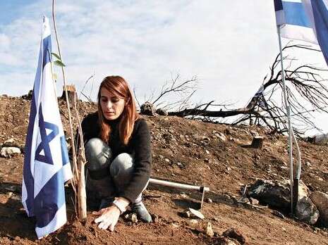 מקס ילינסון מקס ילינסון