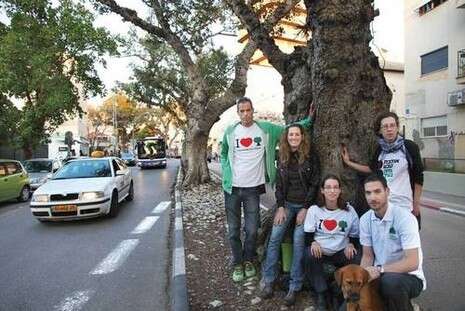 צילום: אלי דסה צילום: אלי דסה