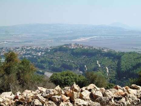 דובי זכאי דובי זכאי