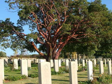 ���� ����