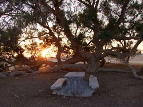 ���� ����