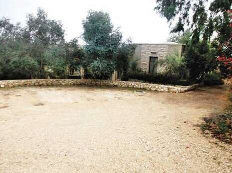 צילום: אלכס רוזקובסקי צילום: אלכס רוזקובסקי