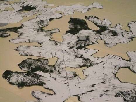 צילום פרטי צילום פרטי