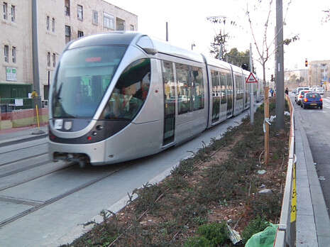 צילום: אורי דוידוביץ'. עריכה: תמי בנימין צילום: אורי דוידוביץ'. עריכה: תמי בנימין