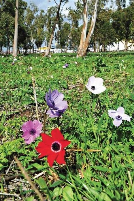 �����: ���� �����