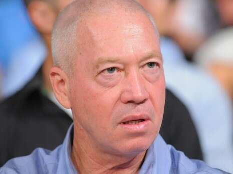 צילום: ראובן קסטרו צילום: ראובן קסטרו