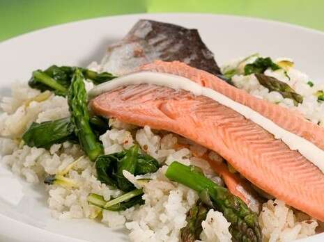 שחר פליישמן שחר פליישמן