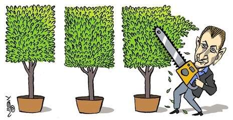 איור: מושיק ליו איור: מושיק ליו