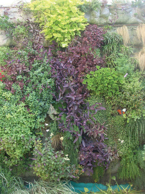 צילום: נעמי וינרוט צילום: נעמי וינרוט