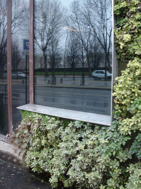 צילום: היידי ארד צילום: היידי ארד