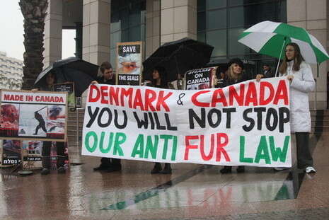 �����: ���� ���