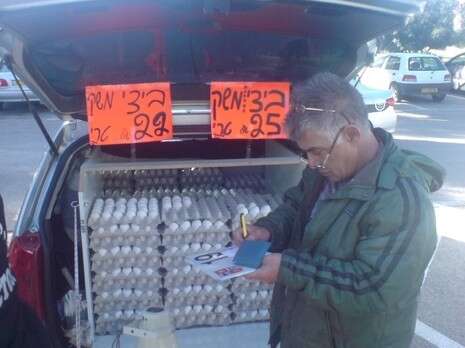 צילום: דוברות עיריית עכו צילום: דוברות עיריית עכו