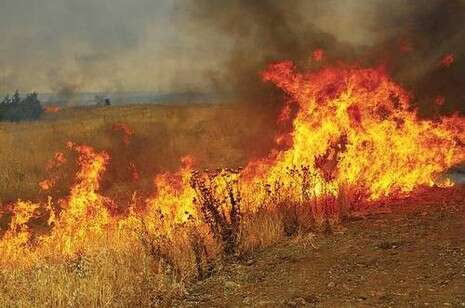 צילום ארכיון: חמד אלמקת צילום ארכיון: חמד אלמקת