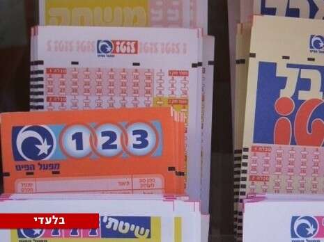 רקפת מולדר רקפת מולדר