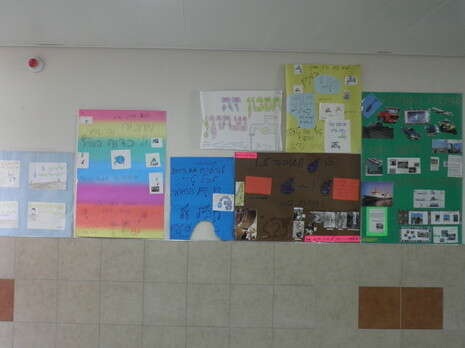 ����� ������� ����� ���� 