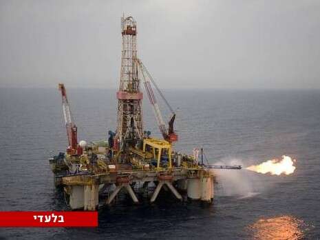 אלבטרוס אלבטרוס