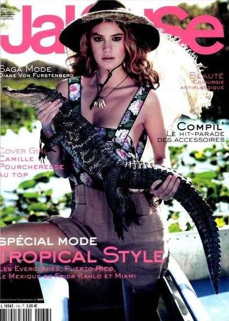 צילום השער צילום השער