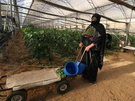 חוה זקצר חוה זקצר