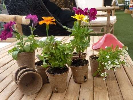 �����: ����� ����