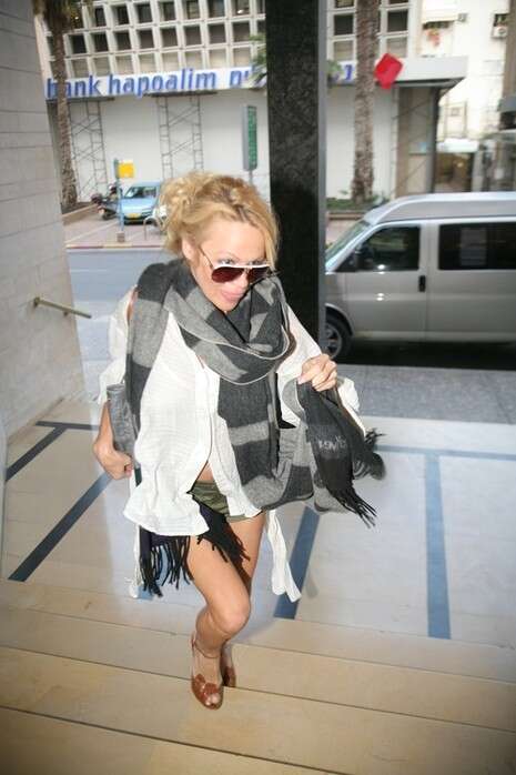 �����: �����