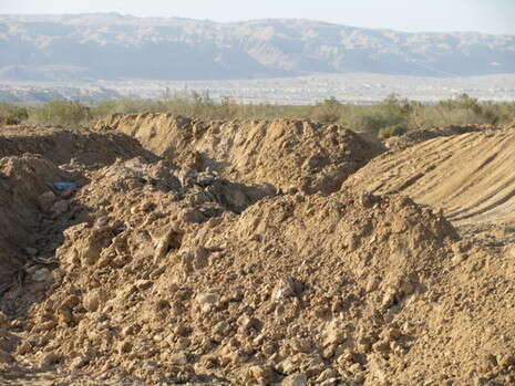 �����: ���� �����, ����� ����� ����