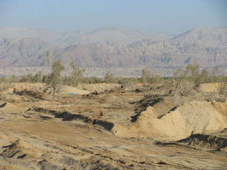 �����: ���� �����, ����� ����� ����